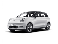 JAC Motors E30X Leasing