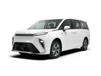 MAXUS MIFA 9 Leasing