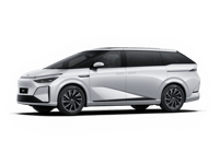 Xpeng X9 Gebrauchtwagen