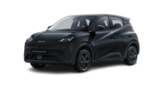 BYD Dolphin Surf