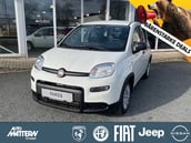 Fiat Pandina
