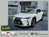 Lexus UX-Serie