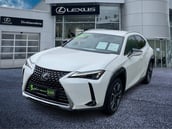 Lexus UX-Serie