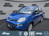 Fiat Pandina