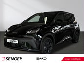 BYD Dolphin Surf
