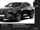 Lexus NX-Serie