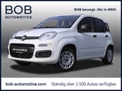 Fiat Pandina
