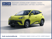 BYD Dolphin Surf