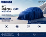 BYD Dolphin Surf