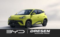 BYD Dolphin Surf