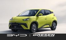 BYD Dolphin Surf