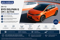 BYD Dolphin G