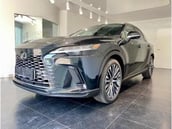 Lexus RX-Serie