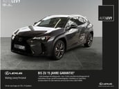 Lexus UX-Serie
