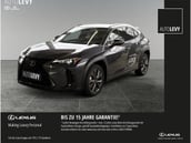 Lexus UX-Serie