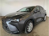 Lexus NX-Serie