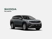 Skoda Peaq