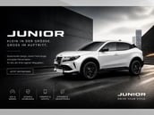 Alfa Romeo Junior