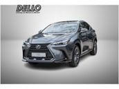 Lexus NX-Serie