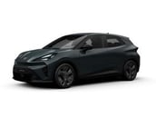Cupra Raval