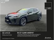 Lexus UX-Serie