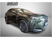 Lexus NX-Serie