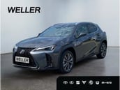 Lexus UX-Serie