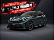 Cupra Raval