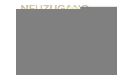 Renault Twingo E-Tech