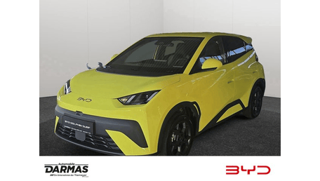 BYD Dolphin Surf
