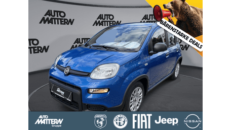 Fiat Pandina