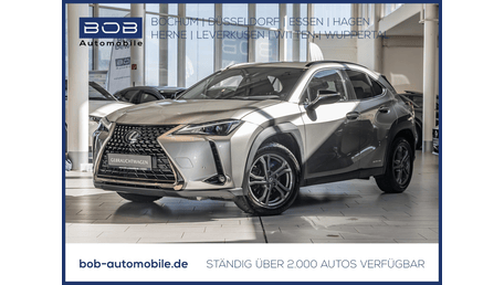 Lexus UX-Serie