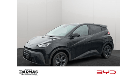 BYD Dolphin Surf
