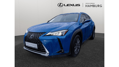 Lexus UX-Serie