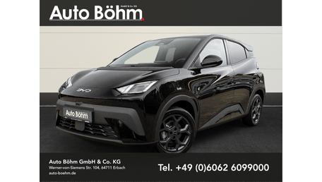 BYD Dolphin Surf