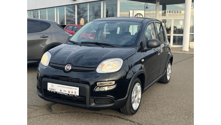 Fiat Pandina