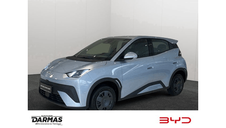 BYD Dolphin Surf