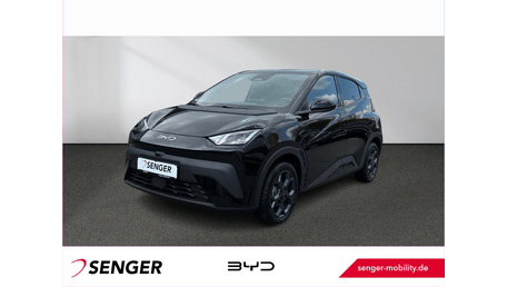 BYD Dolphin Surf