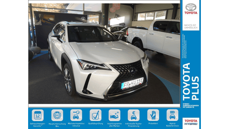 Lexus UX-Serie