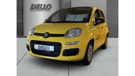 Fiat Pandina
