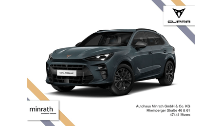 Cupra Terramar