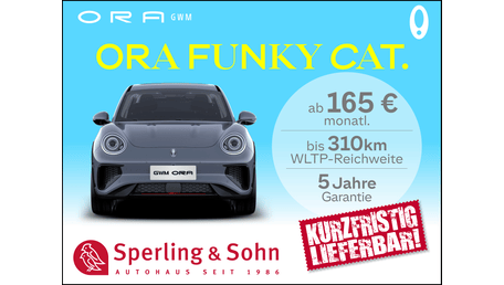 Ora Funky Cat