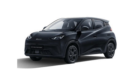 BYD Dolphin Surf