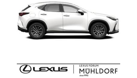 Lexus NX-Serie