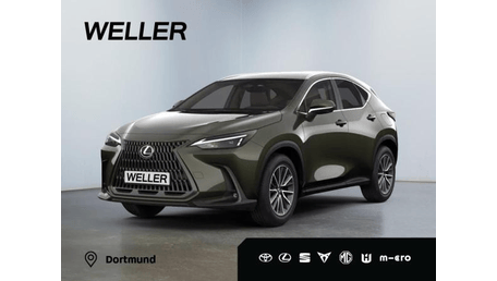 Lexus RX-Serie