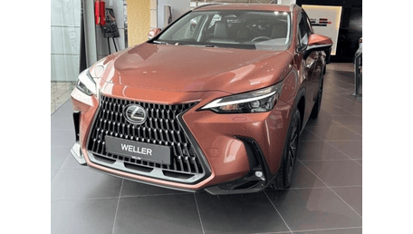 Lexus NX-Serie