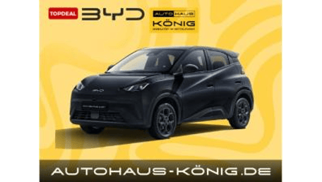 BYD Dolphin Surf