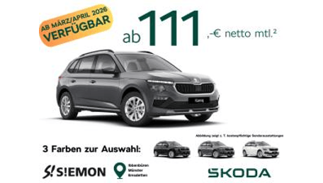 Skoda Kamiq