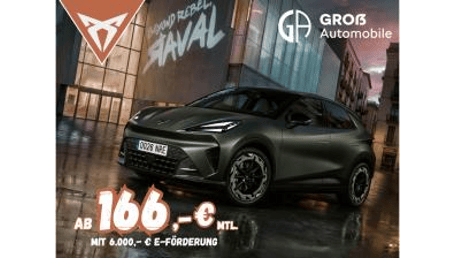 Cupra Raval