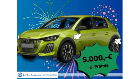 Peugeot E-208